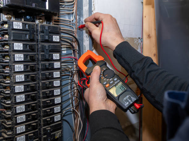 Best Ceiling Fan Installation Electrician  in Burlington, WI